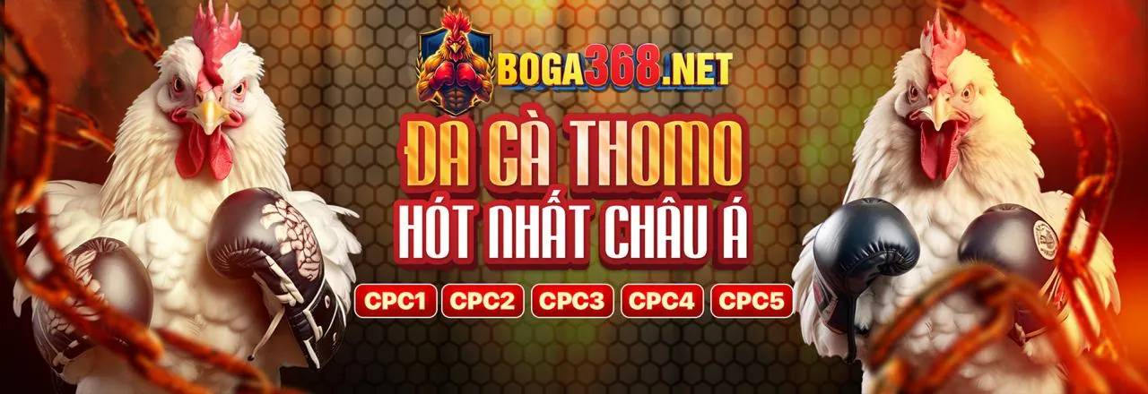 Cẩm nang ưu đãi và lợi ích thành viên mmo88 mới nhất